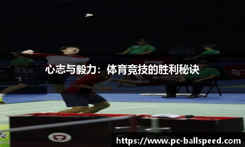 球速体育官网